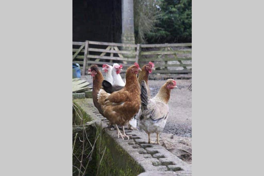 Stones Cottage Farm, Nr Haworth, Family Friendly, Work Friendly, Gaming Barn, Crafting, Free Wifi, Free Parking, Ev Point Oxenhope Buitenkant foto