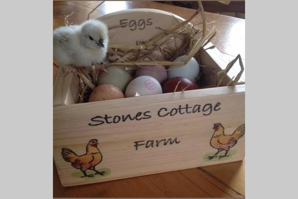 Stones Cottage Farm, Nr Haworth, Family Friendly, Work Friendly, Gaming Barn, Crafting, Free Wifi, Free Parking, Ev Point Oxenhope Buitenkant foto